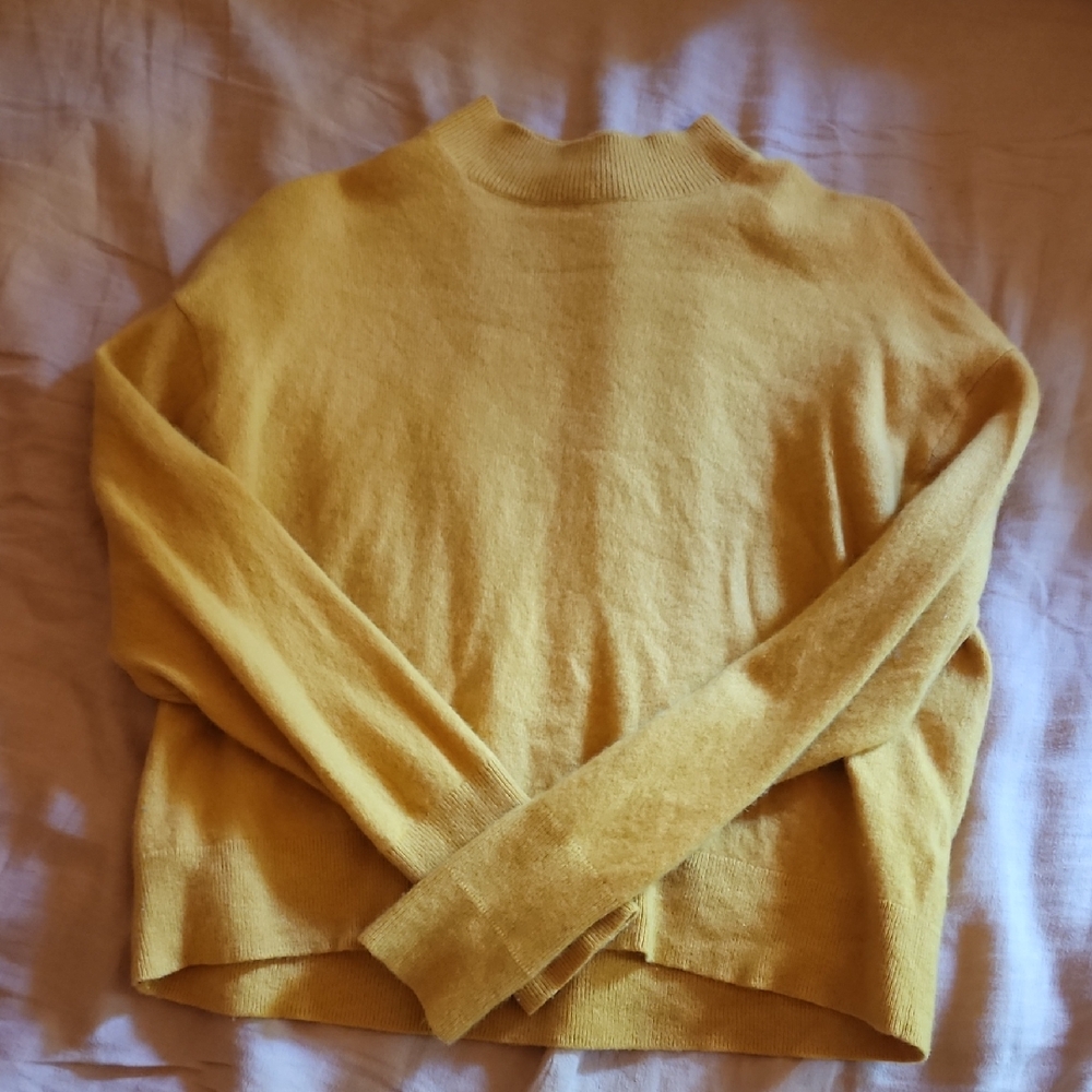 Everlane Cashmere Sweater